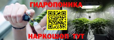 гидра Усть-Илимск